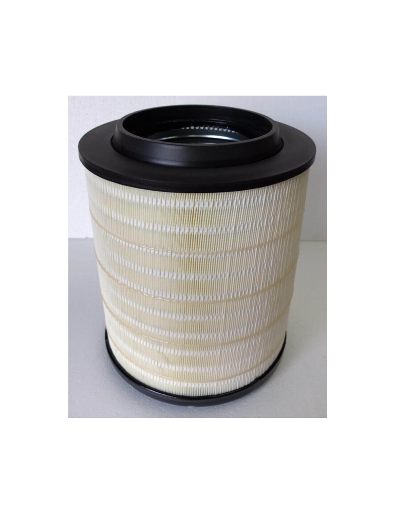 Filtro de aire Fleetguard AF27970 | Velfair