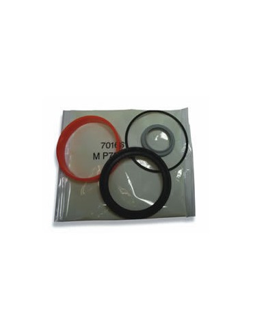 Kit recambio para cilindros neumáticos QM/1026/00 | Velfair